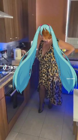 more: otaku shit