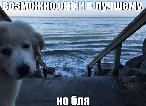 В У Ona