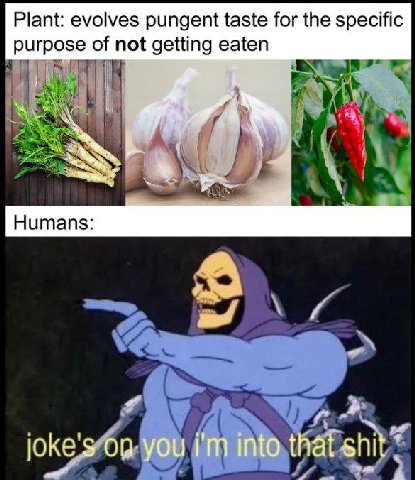 Plant: evolves pungent taste for the specific purpose of not getting eaten i Humans: you into that shit?