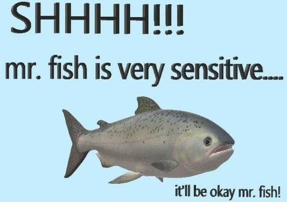 ННННШ fish is very sensitive...