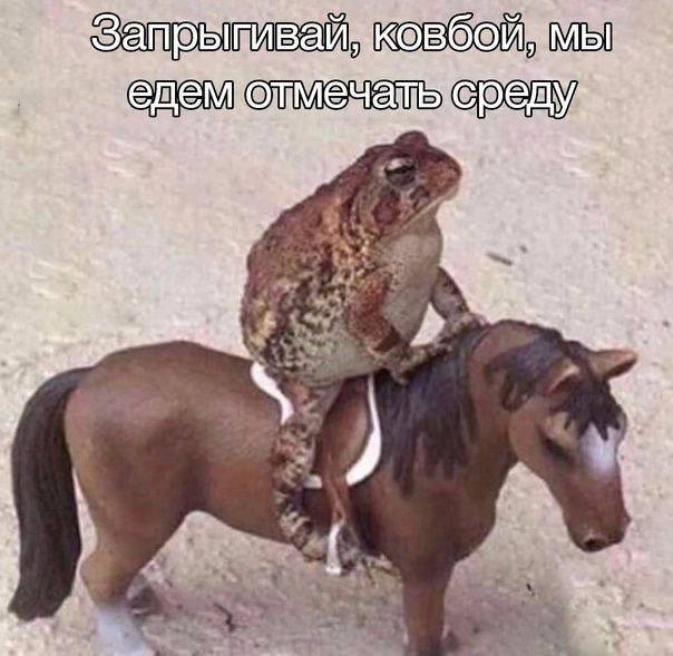 a Б В oth 5 44 4