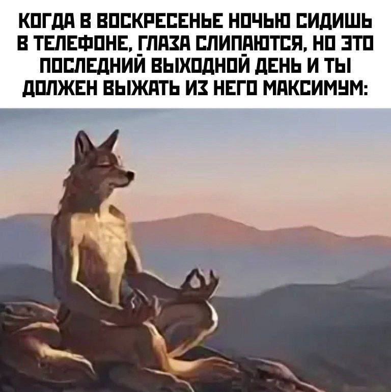 КОГДА В ВОСКРЕСЕНЬЕ НОЧЬЮ] СИДИШЬ В ТЕЛЕФОНЕ, ГЛАЗА СЛИПАЮТСЯ, НО ЭТО ПОСЛЕДНИЙ ВЫХОДНОЙ ДЕНЬ И ТЫ ДОЛЖЕН ВЫЖАТЬ ИЗ НЕГО МАКСИМУМ: