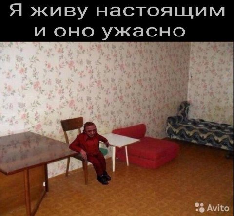 живу настоящим и оно ужасно tent Avito