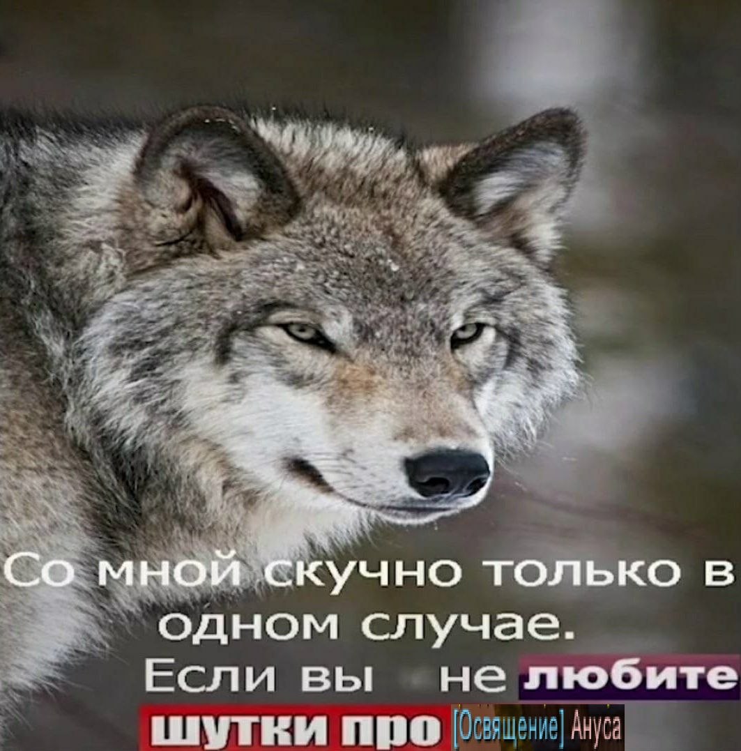 4 мной Скучно только в одном случае. Если вы не любите шутки про
