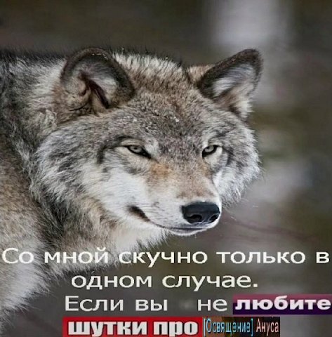 4 мной Скучно только в одном случае. Если вы не любите шутки про