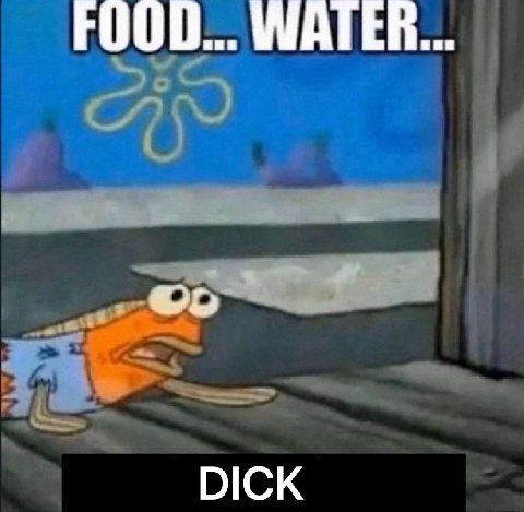 DICK