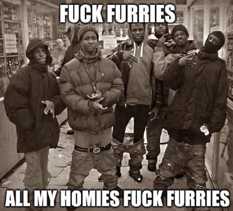 FUCK ALL MY HOMIES FUCK FURRIES