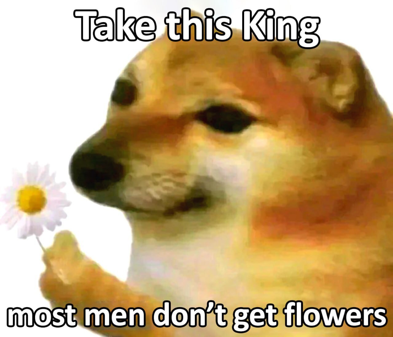 Take most don flowers