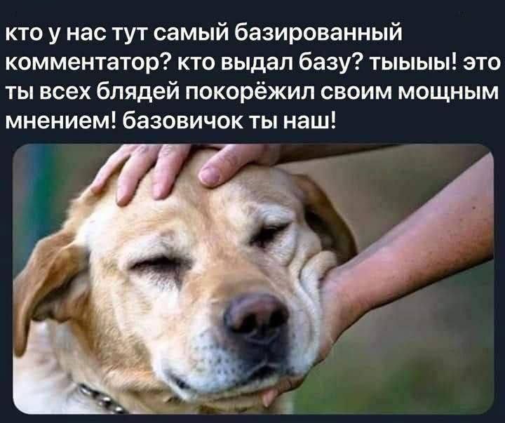 кто у нас тут самый базированный комментатор? кто выдал базу? тыыыы! это ты всех блядей покорёжил своим мощным мнением! базовичок ты наш! И
