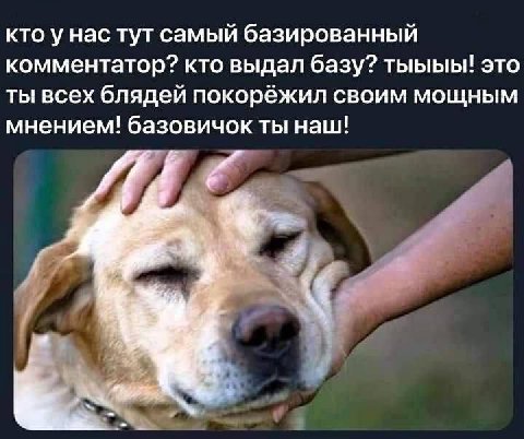 кто у нас тут самый базированный комментатор? кто выдал базу? тыыыы! это ты всех блядей покорёжил своим мощным мнением! базовичок ты наш! И