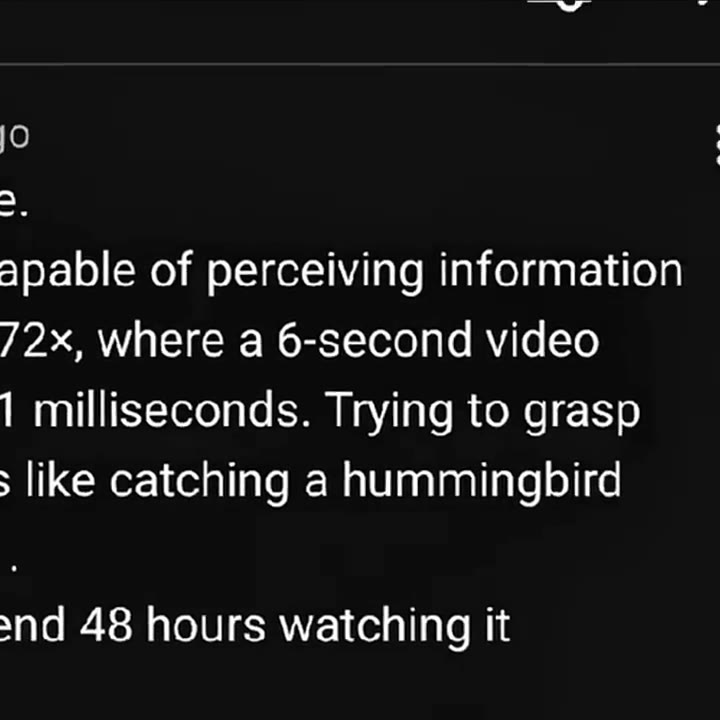 I've watched this reel like 1,000,000 times video is only econds long + apable of perceiving information 72x, where а 6-second video 1 milliseconds. Trying to grasp ‚ like catching a hummingbird snd 4