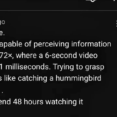 I've watched this reel like 1,000,000 times video is only econds long + apable of perceiving information 72x, where а 6-second video 1 milliseconds. Trying to grasp ‚ like catching a hummingbird snd 4