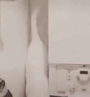 ы |