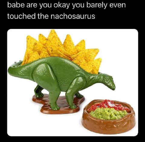 babe are you okay you barely even touched the nachosaurus