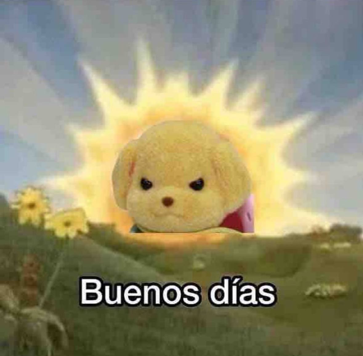 Buenos dias