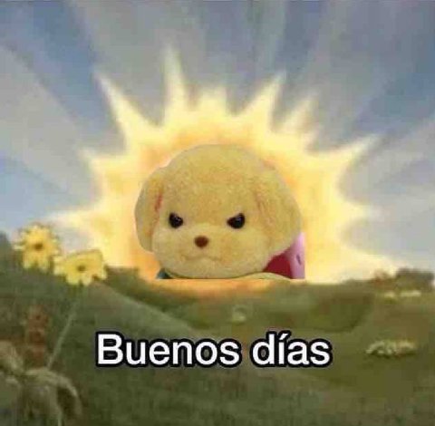 Buenos dias