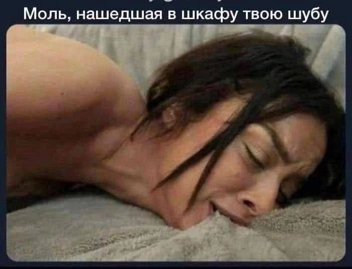 Моль, нашедшая в шкафу твою шубу