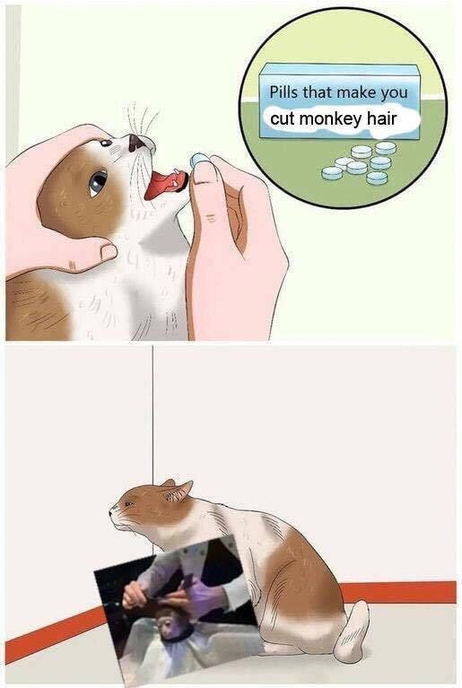 Pills that make you cut monkey hair