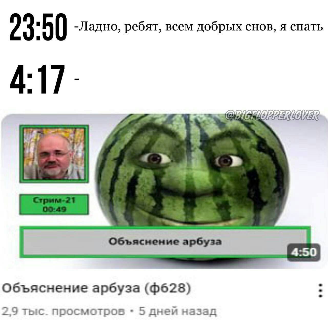 23 50 -Ладно, ребят, всем добрых снов, я спать 4:17 OVE; Объяснение арбуза 2,9 тыс. просмотров 5 дней назад