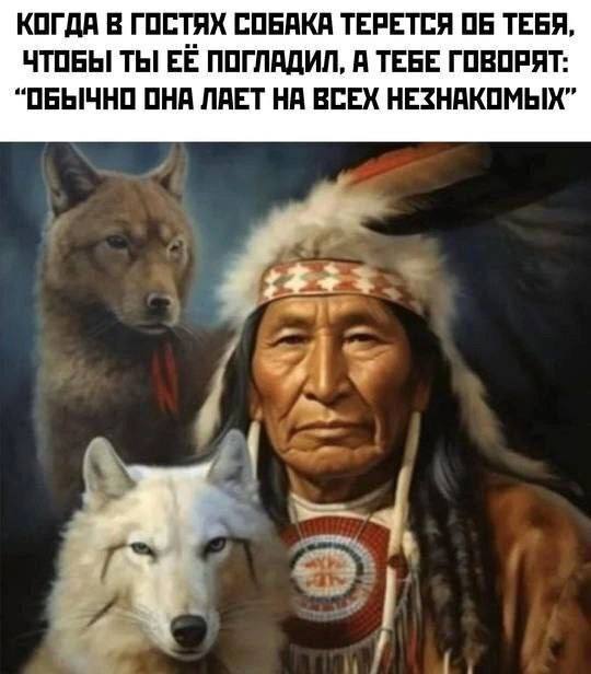 КОГДА В ГОСТЯХ СОБАКА ТЕРЕТСЯ ОБ ТЕБЯ, ЧТОБЫ ТЫ ЕЁ ПОГЛАДИЛ, А ТЕБЕ ГОВОРЯТ: “ОБЫЧНО ОНА ЛАЕТ НА ВСЕХ НЕЗНАКОМЫХ”
