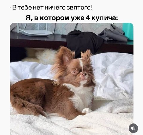 Втебе нет ничего святого! Я, в котором уже 4 кулича: