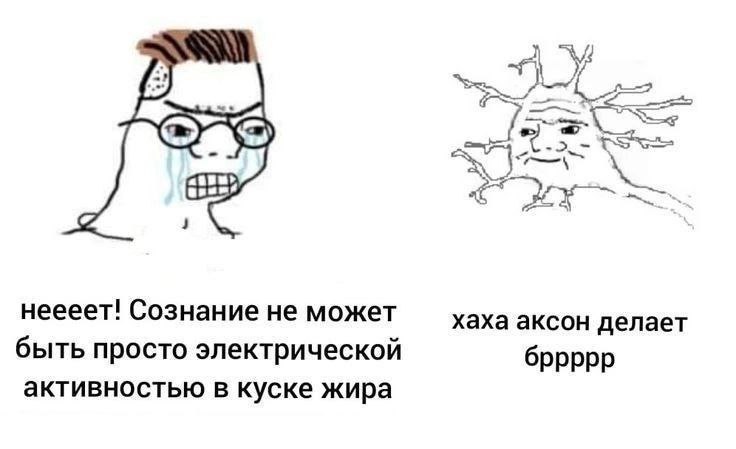 неееет! Сознание не может хаха аксон делает быть просто электрической бррррр активностью в куске жира