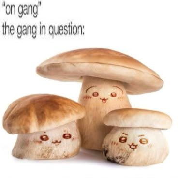 “on gang’ the gang in question: