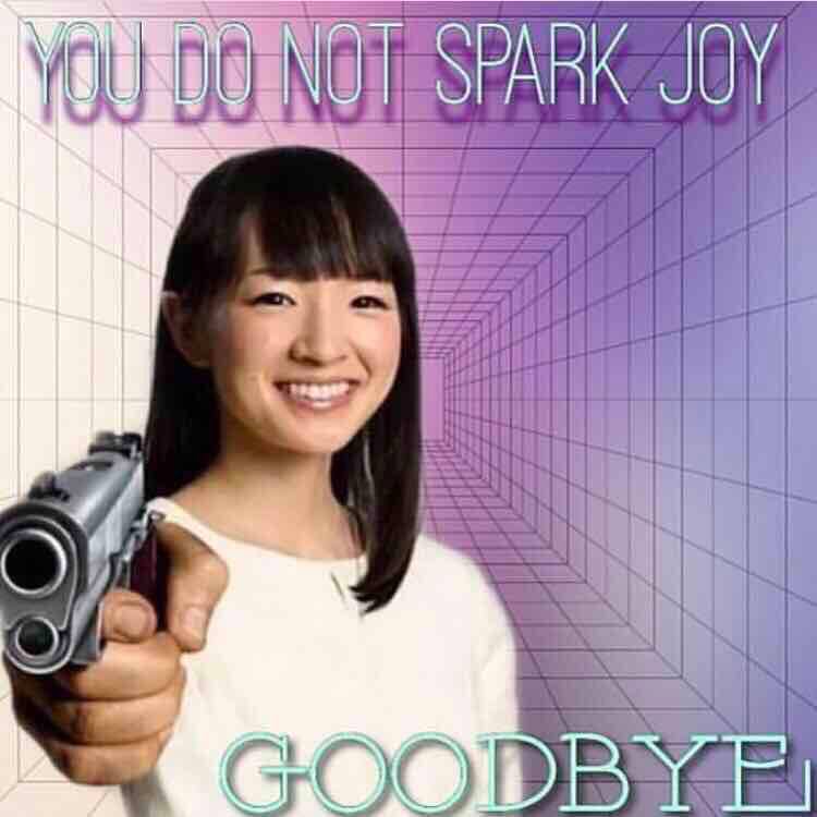 КОТ SPARK JOY