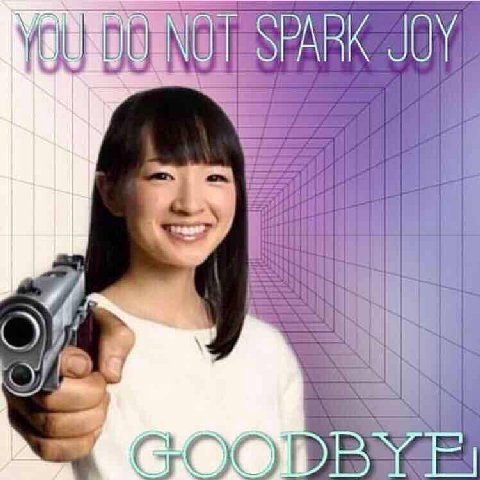 КОТ SPARK JOY