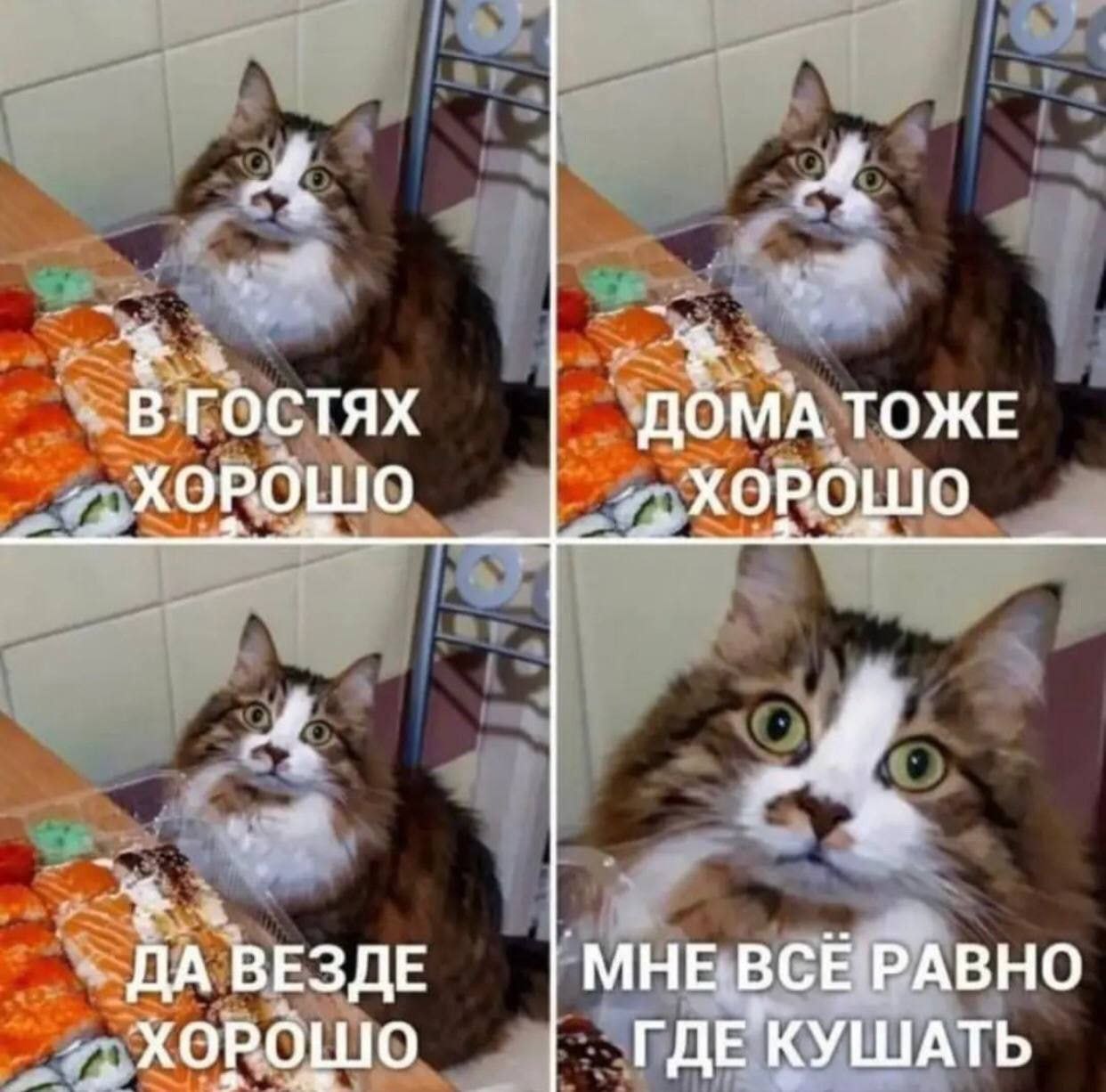 A 4 В.ГОСТЯХ ДОМА ТОЖЕ ХОРОШО ХОРОШО 4 ВЕЗДЕ МНЕ ВСЕ РАВНО ХОРОШО ГДЕ'КУШАТЬ