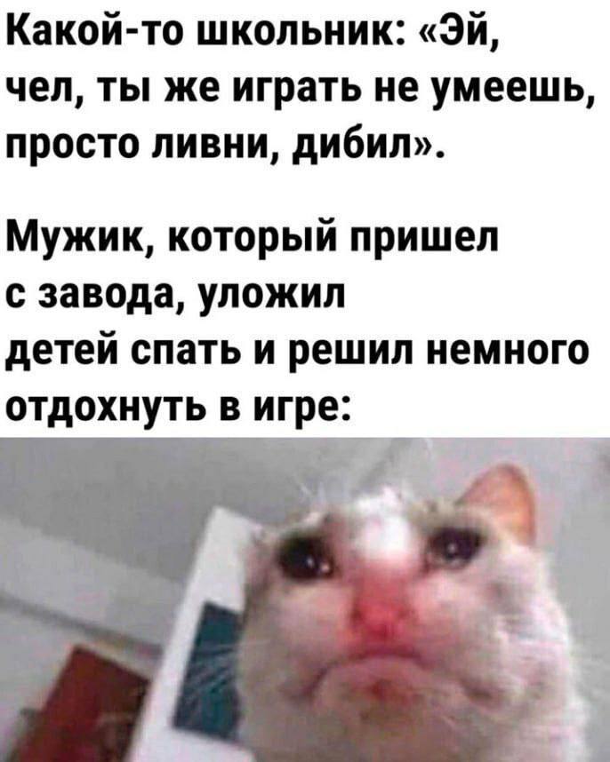 Какой-то школьник: чел, ты же играть не умеешь, просто ливни, дибил». Мужик, который пришел с завода, уложил детей спать и решил немного отдохнуть в игре: A