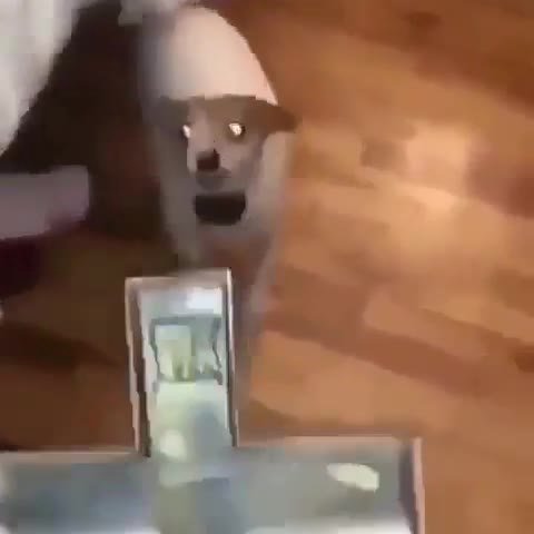 мем