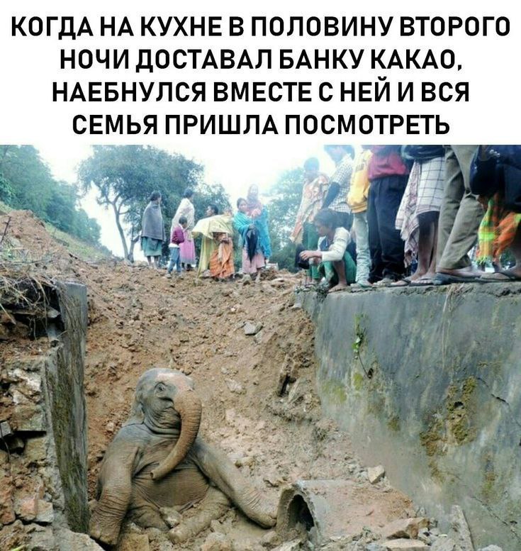 КОГДА НА КУХНЕ В ПОЛОВИНУ ВТОРОГО НОЧИ ДОСТАВАЛ БАНКУ КАКАО, НАЕБНУЛСЯ ВМЕСТЕ И ВСЯ СЕМЬЯ ПРИШЛА ПОСМОТРЕТЬ 4 A 4 7