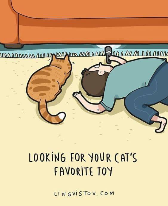 INA 00/0 0000 LOOKING FOR YOUR CAT'S FAVORITE TOY 6\15 Том. Сом