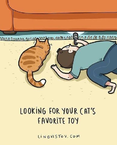 INA 00/0 0000 LOOKING FOR YOUR CAT'S FAVORITE TOY 6\15 Том. Сом