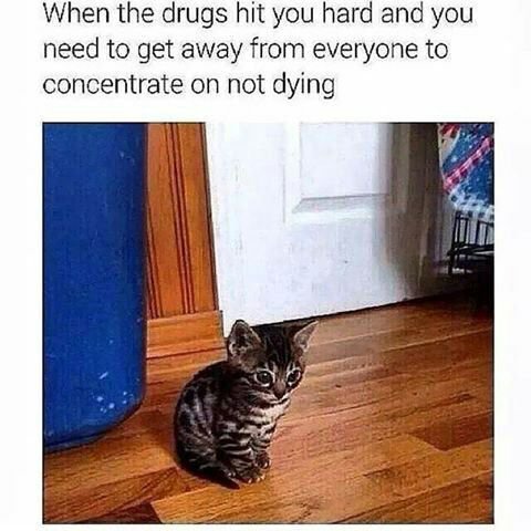 When the drugs hit you hard and you need to get away from everyone to concentrate on not dying