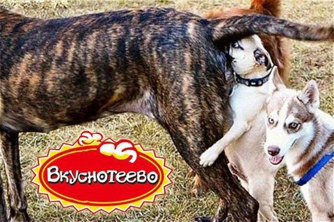 Вкуснотеево