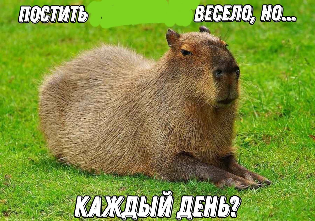4 9) 5) ПОСТИТЬ ВЕСЕЛО, а к 4 we А с on A 77 a 5 А И у AGS i FAL И 22% <A у 5 у к