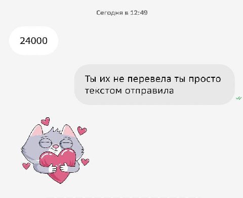 Сегодня в 12:49 24000 Ты не перевела ты просто текстом отправила