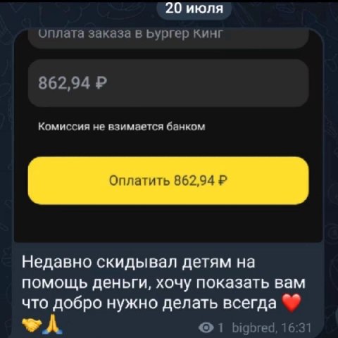 20 июля оплата заказа в Бургер кинг 862,94 Комиссия не взимается банком Оплатить 862,94 Недавно скидывал детям на помощь деньги, хочу показать вам что добро нужно делать всегда 1 bigbred, 16:3