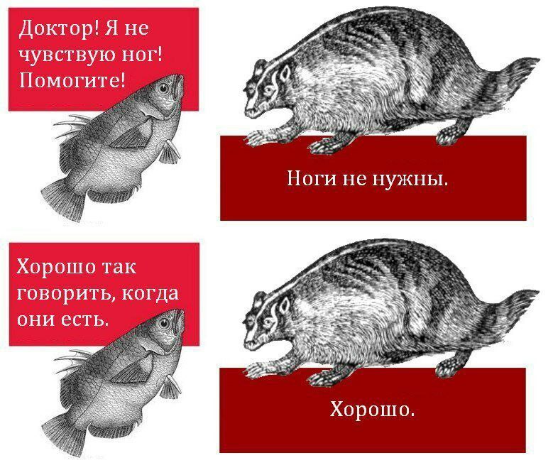 Я Доктор! Я не чувствую ног! CAN, Помогите! a... Ноги He нужны. Хорошо так говорить, когда они есть. SEAR 1 a Хорошо.