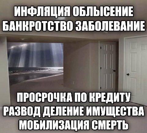 ИНФЛЯЦИЯ БАНКРОТСТВО ЗАБОЛЕВАНИЕ ПРОСРОЧЕА ПО КРЕДИТУ РАЗВОД ДЕЛЕНИЕ ИМУЩЕСТВА МОБИЛИЗАЦИЯ СМЕРТЬ