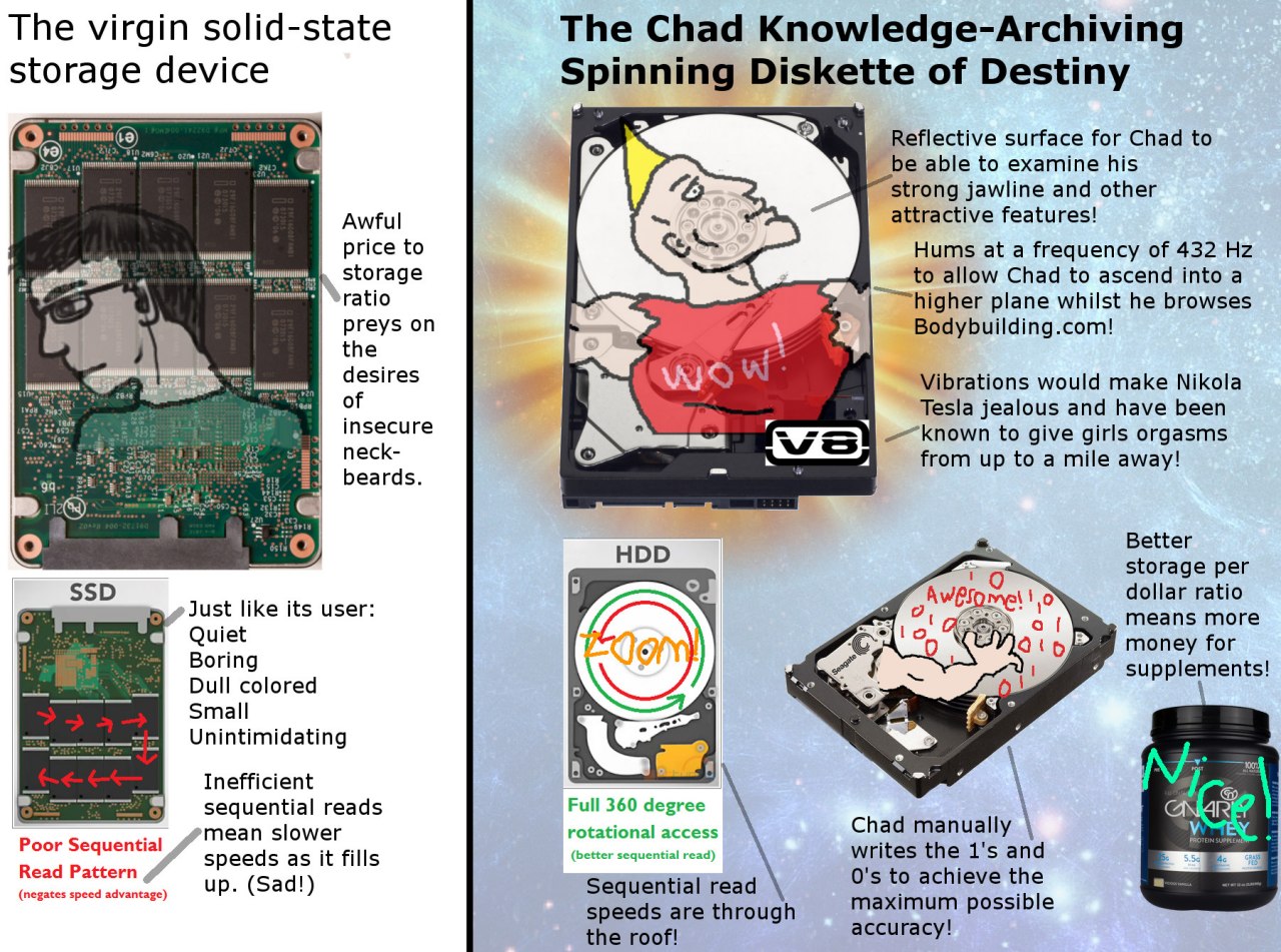 The virgin solid-state The Chad Knowledge-Archiving storage device Diskette of Destiny Reflective surface for Chad to be able to examine his strong jawline and other Awful attractive features! price t