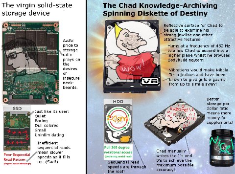 The virgin solid-state The Chad Knowledge-Archiving storage device Diskette of Destiny Reflective surface for Chad to be able to examine his strong jawline and other Awful attractive features! price t