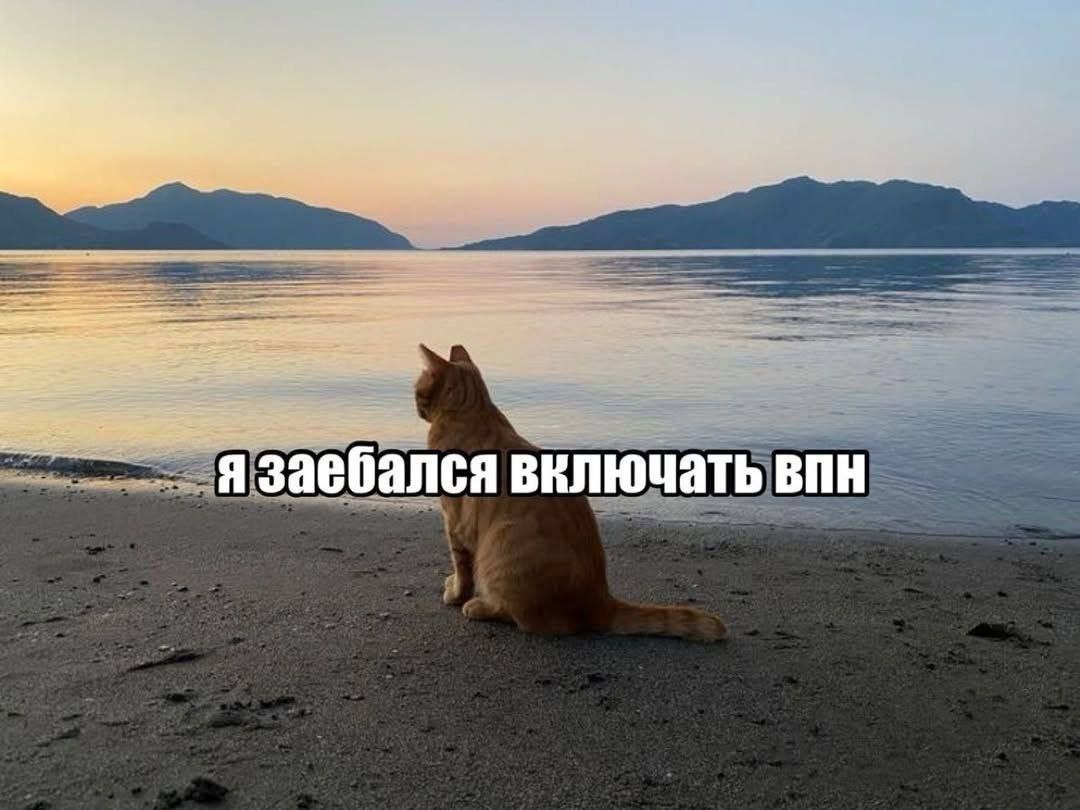 —1 я заебался включать впн