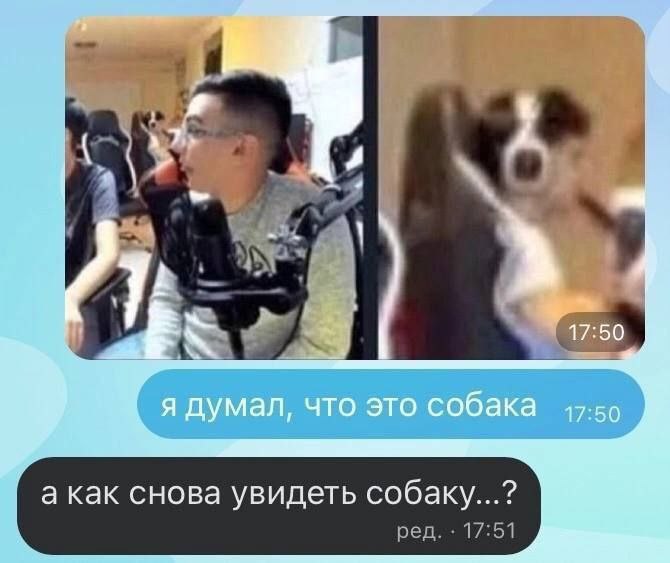 17:50 Я думал, что это собака 17:50 как снова увидеть собаку...?