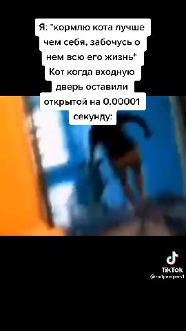 Я: *кормлю кота лучше чем себя, забочусь о нем всю его жизнь* Кот когда входную дверь оставили