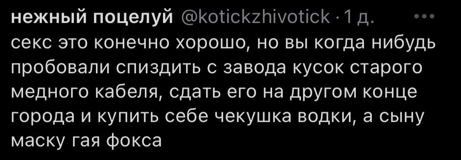нежный поцелуй секс это конечно хорошо, но вы когда нибудь пробовали спиздить с завода кусок старого медного кабеля, сдать его на другом конце города и купить себе чекушка водки, а сыну маску гая фокс