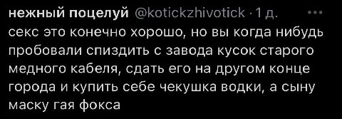 нежный поцелуй секс это конечно хорошо, но вы когда нибудь пробовали спиздить с завода кусок старого медного кабеля, сдать его на другом конце города и купить себе чекушка водки, а сыну маску гая фокс