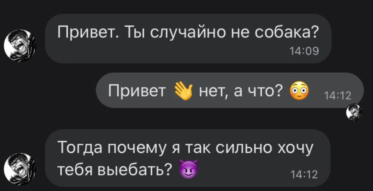 Привет. Ты случайно не собака? Привет нет, а что? Тогда почему я так сильно хочу тебя выебать?